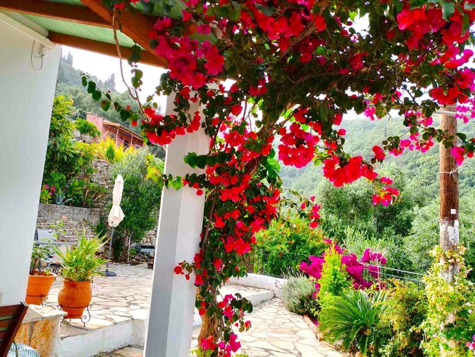 Fior Di Corfu Kalami (Corfu)